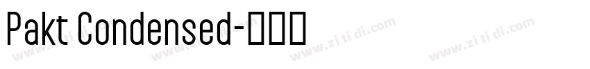 Pakt Condensed字体转换